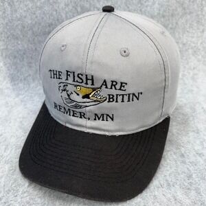 The Fish Are Bitin' Remer MN Mens Grey Otto Cap Snapback Fishing Hat OSFM